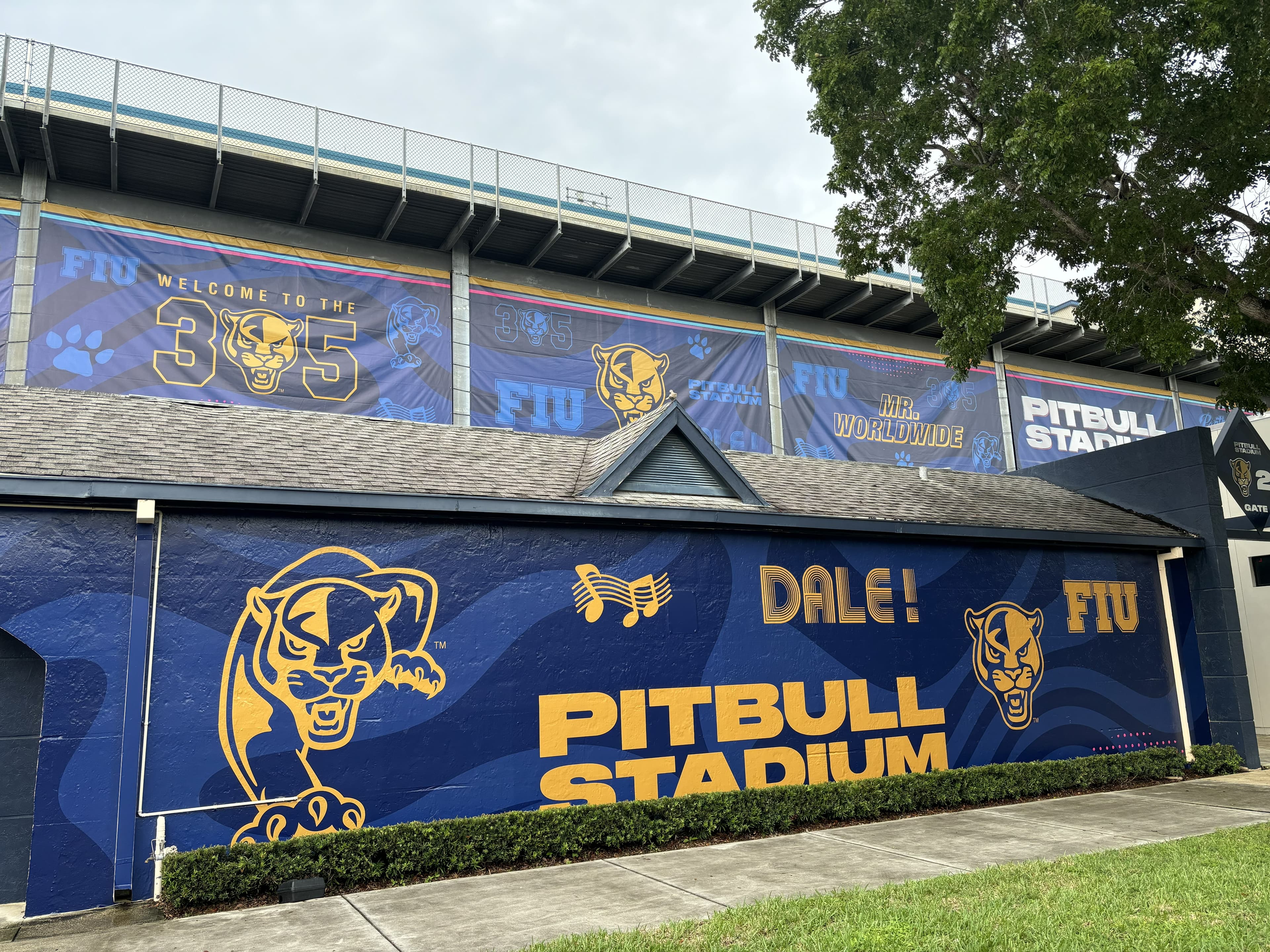 Blue and gold Pitbull Stadium graphics covering exterior walls and stadium banners